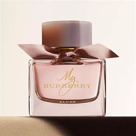 parfum burberry damen|burberry perfume in boots.